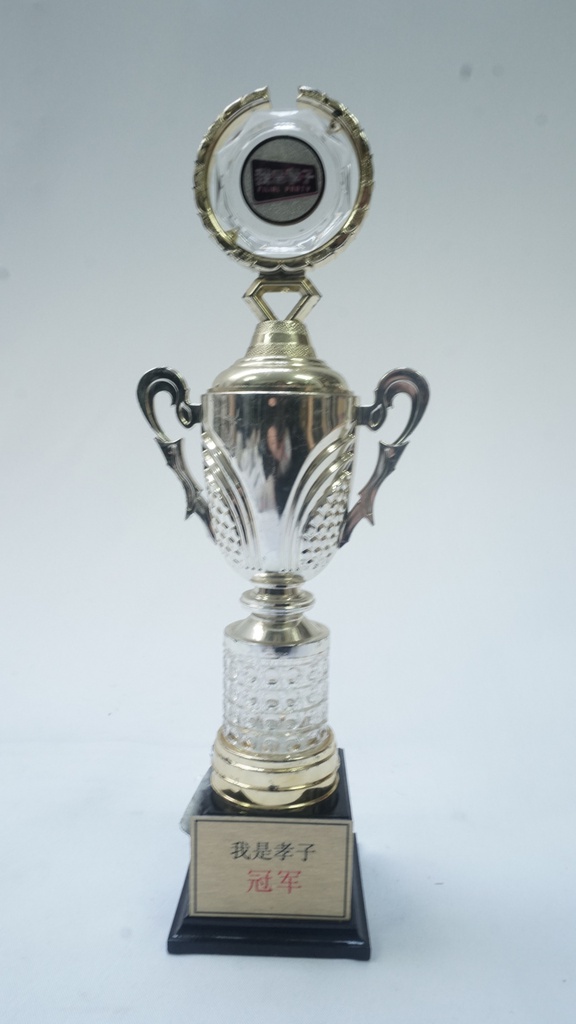Modern Trophy