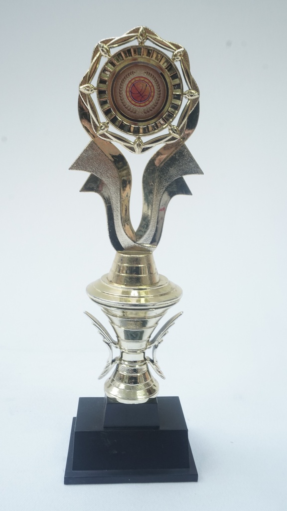 Modern Trophy 
