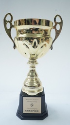[AWMT1] Modern Trophy