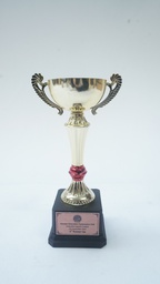 [AWMT7] Modern Trophy