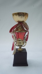 [AWMT10] Modern Trophy