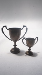[AWVT7] Vintage Trophy