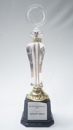 [AWMT13] Modern Trophy