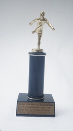 [AWVT9] Vintage Trophy