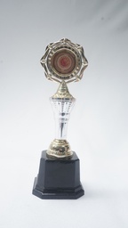 [AWMT14] Modern Trophy