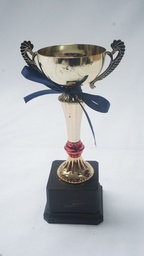 [AWMT24] Modern Trophy