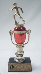 [AWVT45] Vintage Trophy
