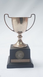 [AWVT16] Vintage Trophy