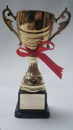 [AWMT26] Modern Trophy