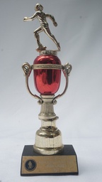 [AWVT19] Vintage Trophy
