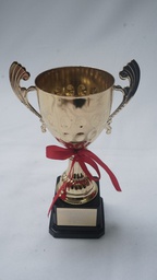 [AWMT28] Modern Trophy
