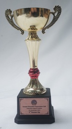 [AWMT29] Modern Trophy