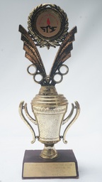 [AWVT21] Vintage Trophy