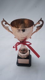 [AWMT30] Modern Trophy