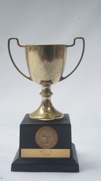 [AWVT25] Vintage Trophy