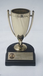 [AWMT38] Modern Trophy