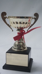 [AWMT41] Modern Trophy
