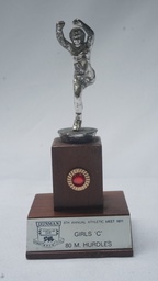 [AWVT34] Vintage Trophy
