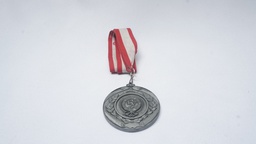 [AWMM9] Modern Medal
