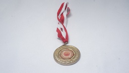 [AWMM26] Modern Medal