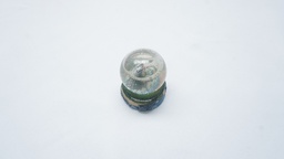 [DOGG1] Glitter &amp; Water Globe