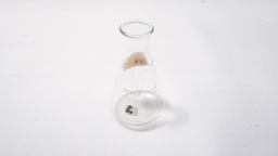 [MLCF8] Conical Flask