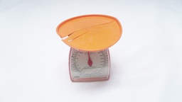 [KTWS1] Weighing Scale