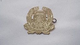[UGBA6] Badge